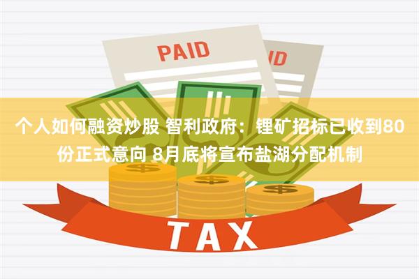 个人如何融资炒股 智利政府：锂矿招标已收到80份正式意向 8月底将宣布盐湖分配机制