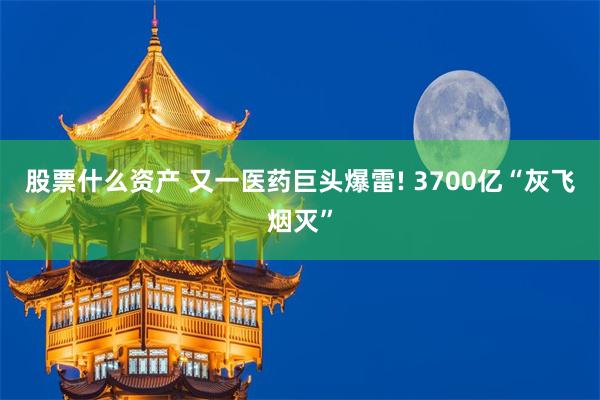 股票什么资产 又一医药巨头爆雷! 3700亿“灰飞烟灭”