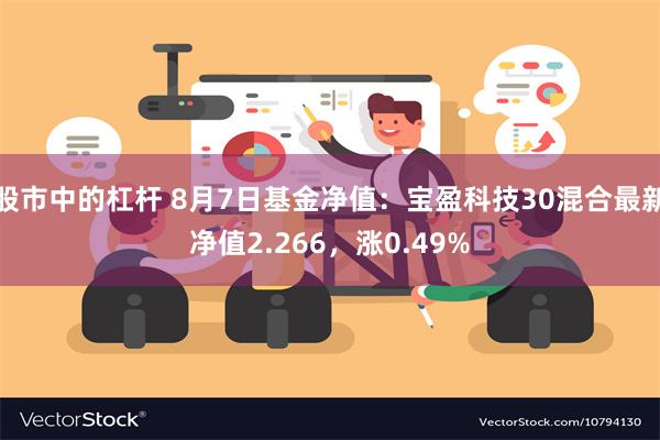 股市中的杠杆 8月7日基金净值：宝盈科技30混合最新净值2.266，涨0.49%