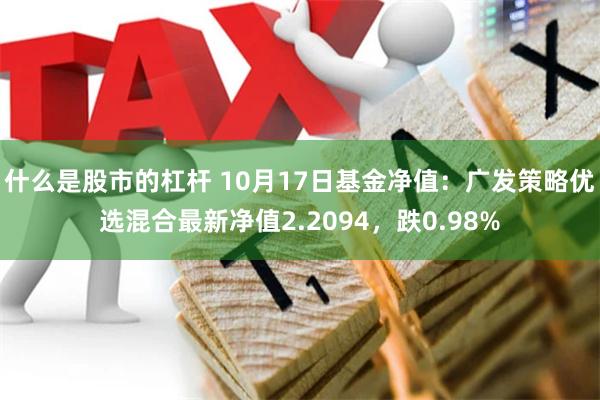 什么是股市的杠杆 10月17日基金净值：广发策略优选混合