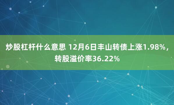 炒股杠杆什么意思 12月6日丰山转债上涨1.98%，转股溢价率36.22%