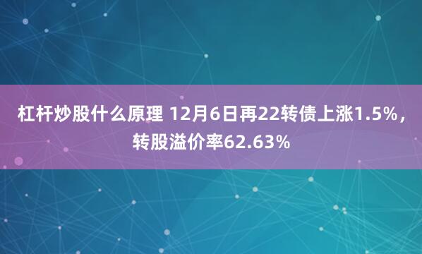 杠杆炒股什么原理 12月6日再22转债上涨1.5%，转股溢价率62.63%