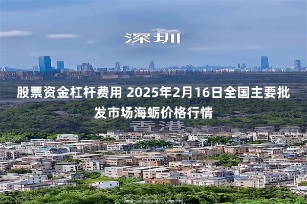 股票资金杠杆费用 2025年2月16日全国主要批发市场海蛎价格行情