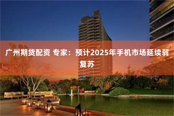 广州期货配资 专家：预计2025年手机市场延续弱复苏